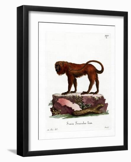 Red Howler-null-Framed Giclee Print