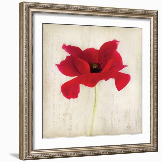 Red I-Amy Melious-Framed Art Print