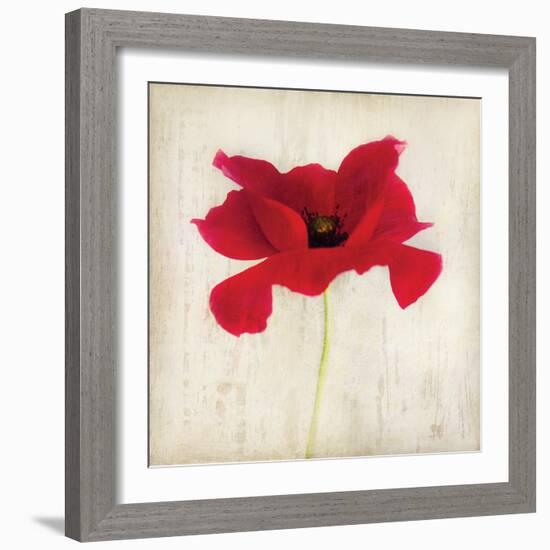 Red I-Amy Melious-Framed Art Print