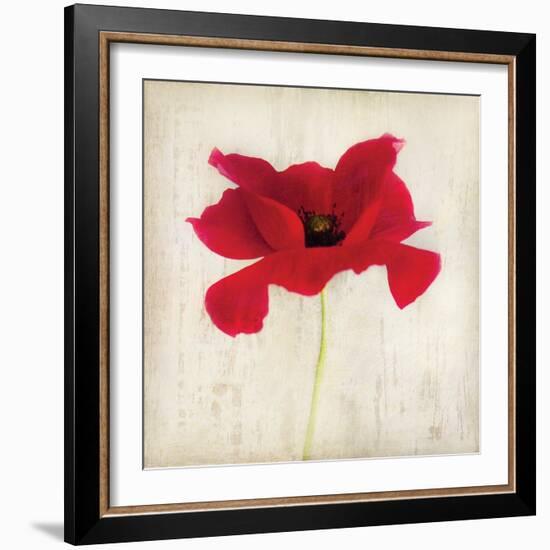 Red I-Amy Melious-Framed Art Print