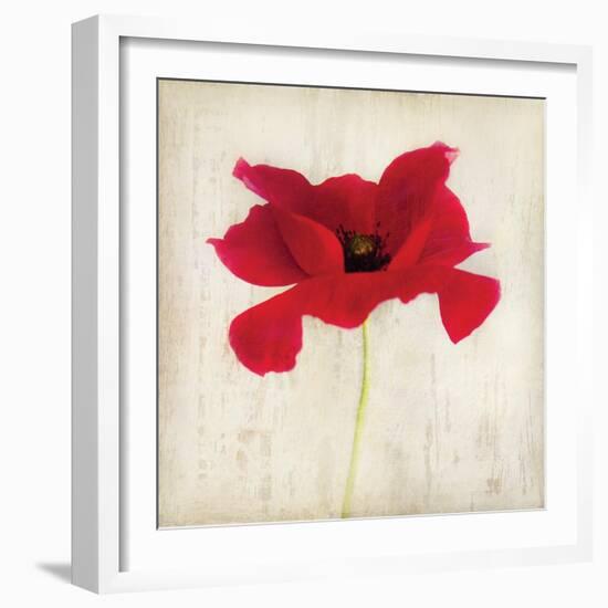 Red I-Amy Melious-Framed Art Print