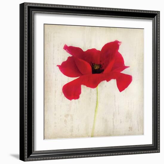 Red I-Amy Melious-Framed Art Print