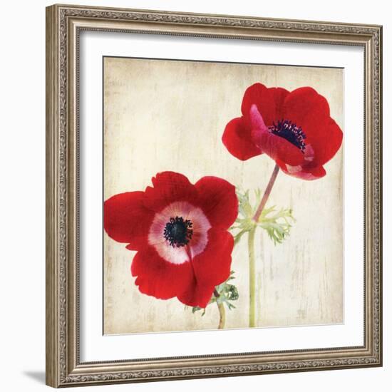 Red II-Amy Melious-Framed Art Print