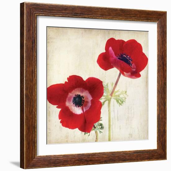 Red II-Amy Melious-Framed Art Print