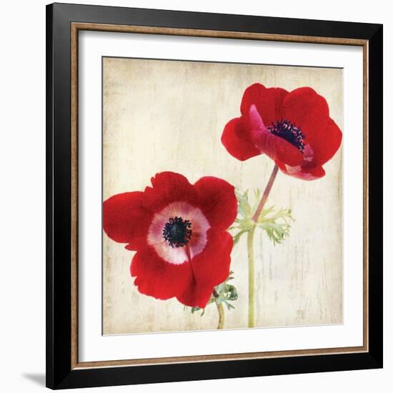 Red II-Amy Melious-Framed Art Print