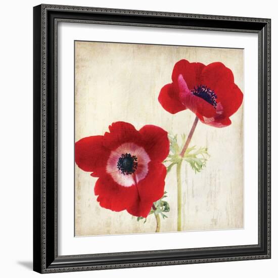 Red II-Amy Melious-Framed Art Print