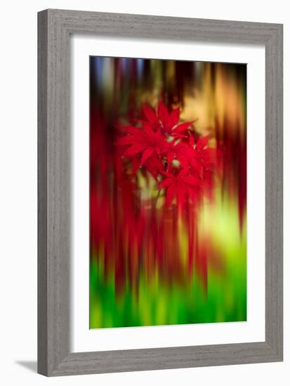 Red Instrumental-Philippe Sainte-Laudy-Framed Photographic Print