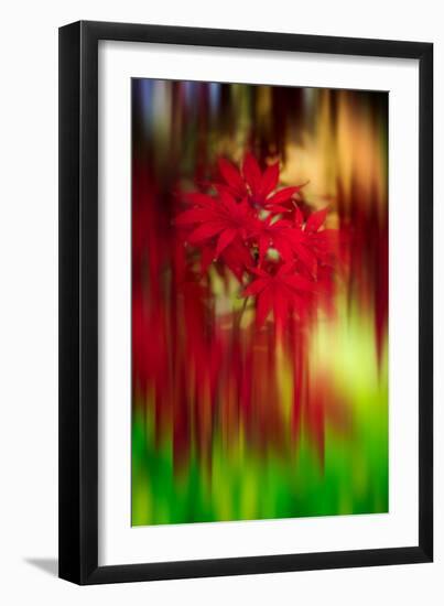 Red Instrumental-Philippe Sainte-Laudy-Framed Photographic Print