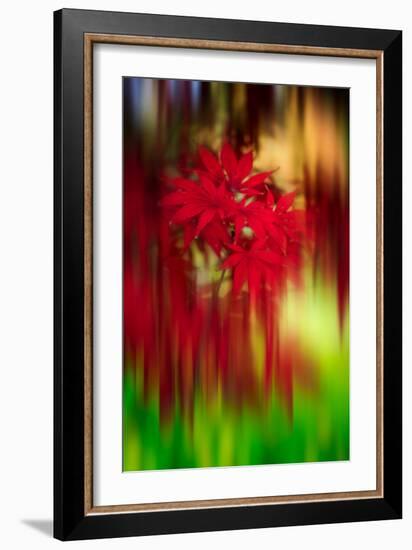 Red Instrumental-Philippe Sainte-Laudy-Framed Photographic Print