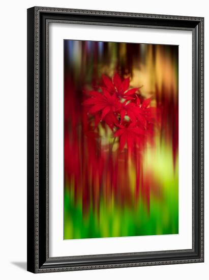 Red Instrumental-Philippe Sainte-Laudy-Framed Photographic Print