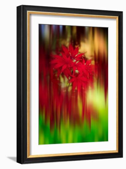 Red Instrumental-Philippe Sainte-Laudy-Framed Photographic Print