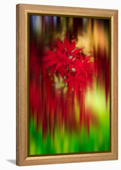 Red Instrumental-Philippe Sainte-Laudy-Framed Premier Image Canvas