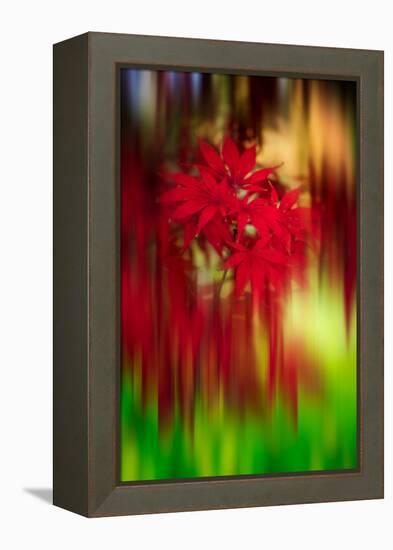 Red Instrumental-Philippe Sainte-Laudy-Framed Premier Image Canvas