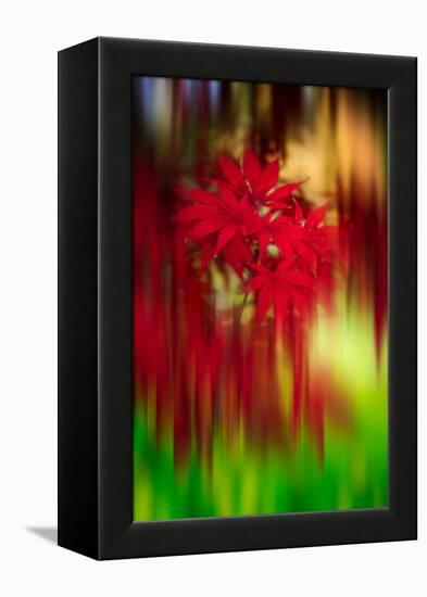 Red Instrumental-Philippe Sainte-Laudy-Framed Premier Image Canvas