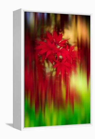 Red Instrumental-Philippe Sainte-Laudy-Framed Premier Image Canvas