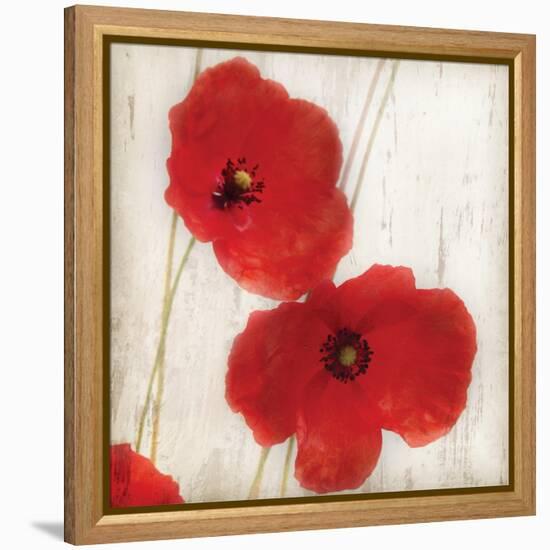 Red IV-Amy Melious-Framed Stretched Canvas