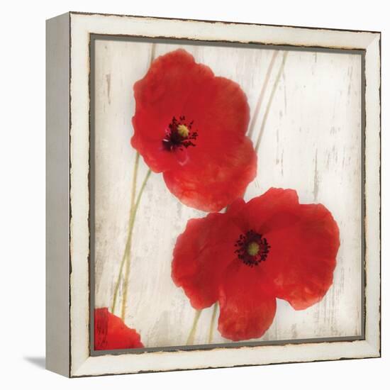 Red IV-Amy Melious-Framed Stretched Canvas