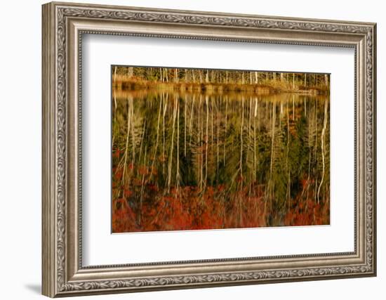 Red Jack Lake and sunrise reflection, Alger County, Michigan.-Adam Jones-Framed Photographic Print