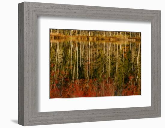 Red Jack Lake and sunrise reflection, Alger County, Michigan.-Adam Jones-Framed Photographic Print