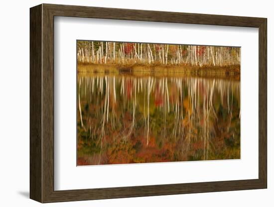 Red Jack Lake and Sunrise Reflection, Alger County, Upper Peninsula of Michigan-Adam Jones-Framed Photographic Print