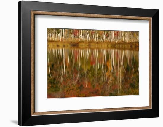 Red Jack Lake and Sunrise Reflection, Alger County, Upper Peninsula of Michigan-Adam Jones-Framed Photographic Print