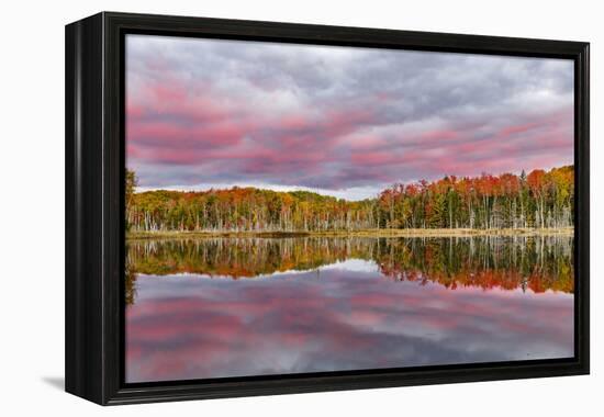 Red Jack Lake and Sunrise Reflection, Alger County, Upper Peninsula of Michigan-Adam Jones-Framed Premier Image Canvas