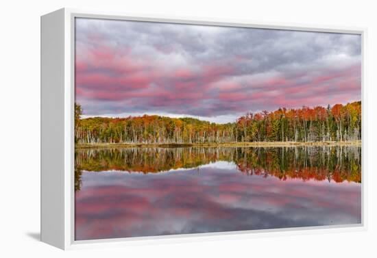 Red Jack Lake and Sunrise Reflection, Alger County, Upper Peninsula of Michigan-Adam Jones-Framed Premier Image Canvas