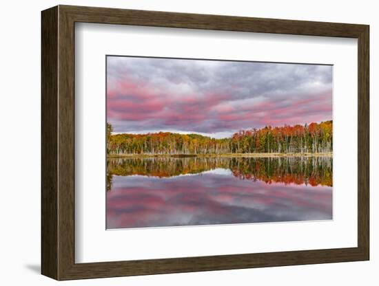 Red Jack Lake and Sunrise Reflection, Alger County, Upper Peninsula of Michigan-Adam Jones-Framed Photographic Print