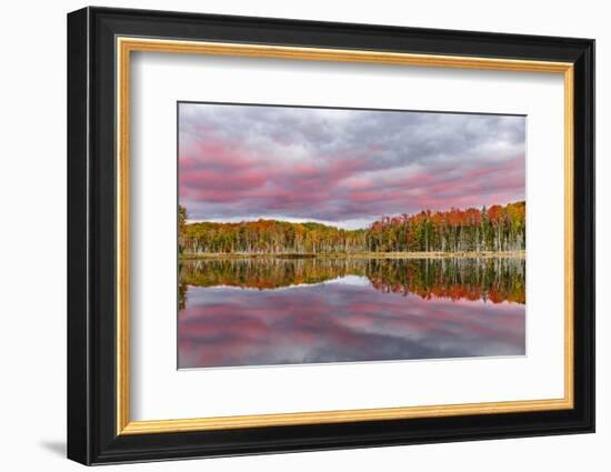 Red Jack Lake and Sunrise Reflection, Alger County, Upper Peninsula of Michigan-Adam Jones-Framed Photographic Print