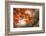 Red Japanese Maple Leaves in Fall-Sheila Haddad-Framed Photographic Print