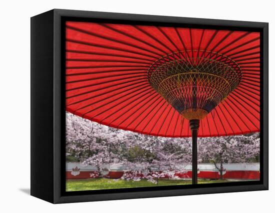 Red Japanese Parasol and Pink Cherry Blossoms-Rudy Sulgan-Framed Premier Image Canvas