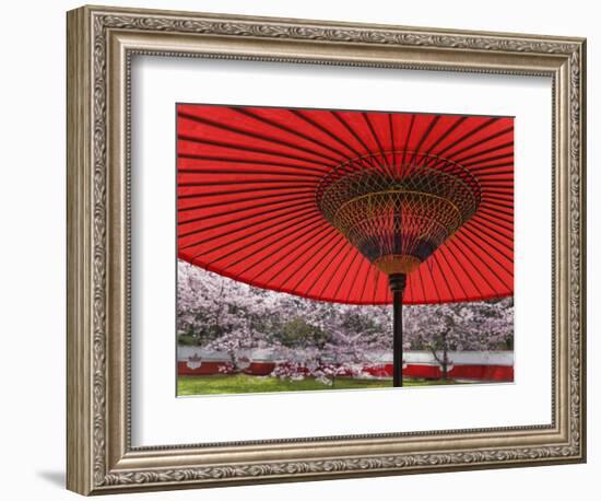 Red Japanese Parasol and Pink Cherry Blossoms-Rudy Sulgan-Framed Photographic Print