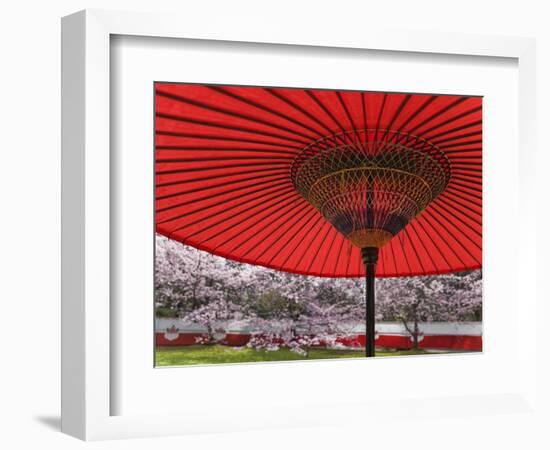 Red Japanese Parasol and Pink Cherry Blossoms-Rudy Sulgan-Framed Photographic Print