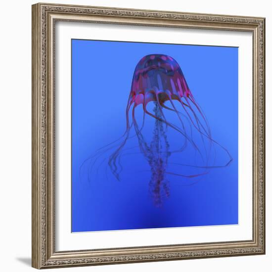 Red Jellyfish Illustration-Stocktrek Images-Framed Art Print