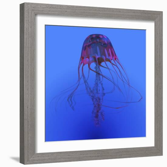 Red Jellyfish Illustration-Stocktrek Images-Framed Art Print