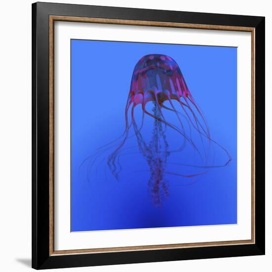 Red Jellyfish Illustration-Stocktrek Images-Framed Art Print