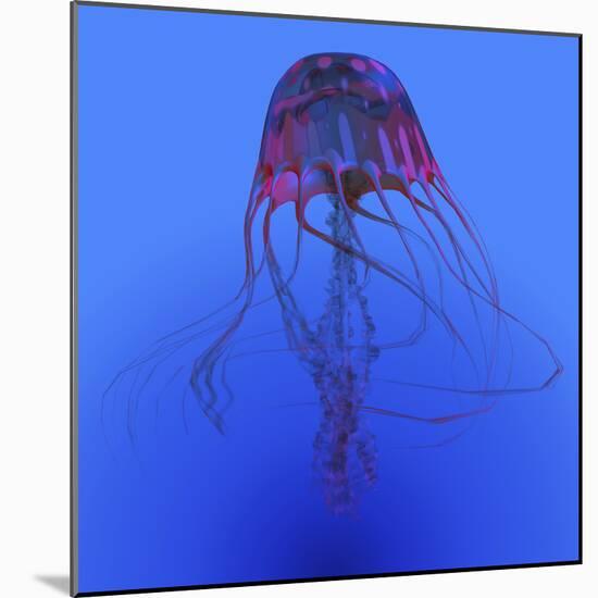 Red Jellyfish Illustration-Stocktrek Images-Mounted Art Print