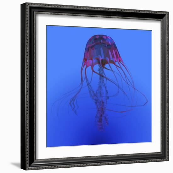 Red Jellyfish Illustration-Stocktrek Images-Framed Art Print