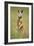 Red Kangaroo-null-Framed Photographic Print