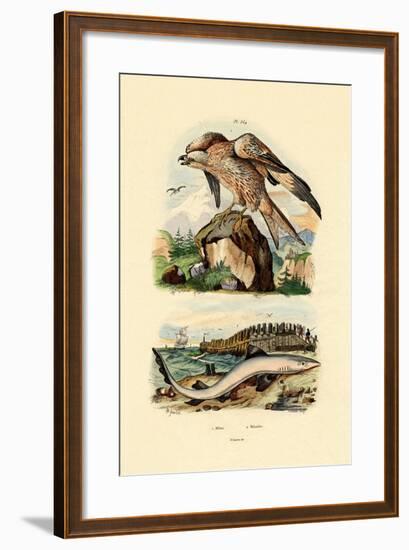 Red Kite, 1833-39--Framed Giclee Print