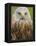 Red Kite, Iucn Red List of Endangered Species Captive, France-Eric Baccega-Framed Premier Image Canvas