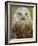 Red Kite, Iucn Red List of Endangered Species Captive, France-Eric Baccega-Framed Photographic Print