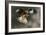 Red Kite-Linda Wright-Framed Photographic Print