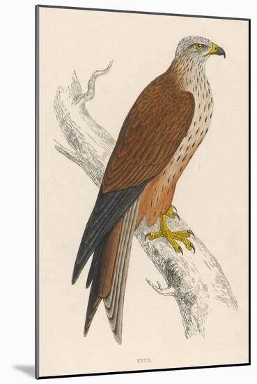 Red Kite-Reverend Francis O. Morris-Mounted Art Print