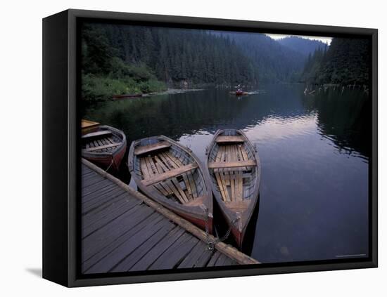 Red Lake in the Bicaz Region, Romania-Gavriel Jecan-Framed Premier Image Canvas