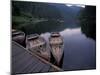 Red Lake in the Bicaz Region, Romania-Gavriel Jecan-Mounted Photographic Print