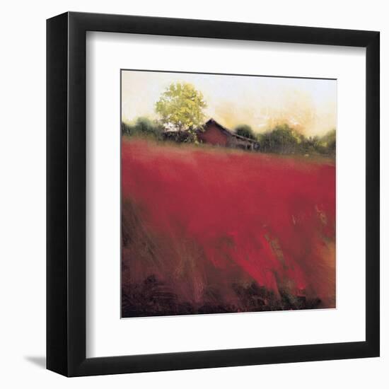 Red Land (detail)-Thomas Stotts-Framed Art Print