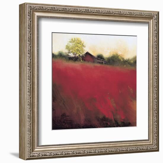 Red Land (detail)-Thomas Stotts-Framed Art Print