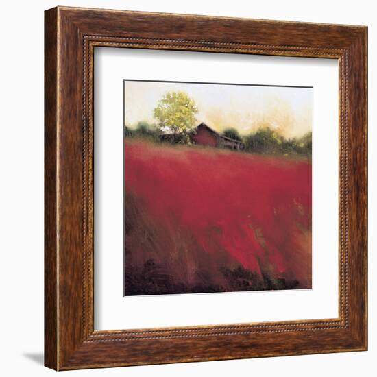 Red Land (detail)-Thomas Stotts-Framed Art Print