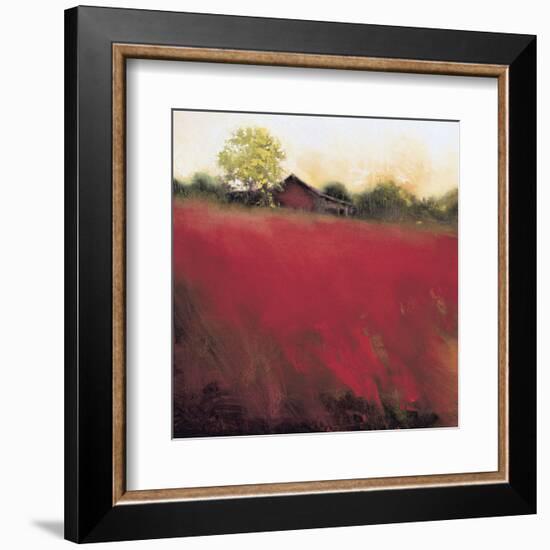 Red Land (detail)-Thomas Stotts-Framed Art Print